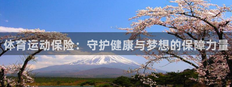 bbin视讯下：体育运动保险：守护健康与梦想的保障力量