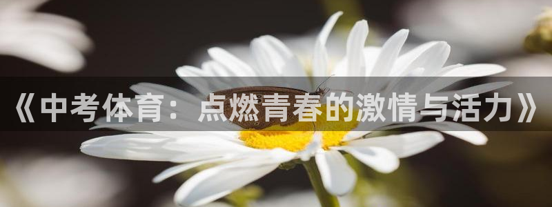 bbin视讯游戏平台：《中考体育：点燃青春的激情与活力》