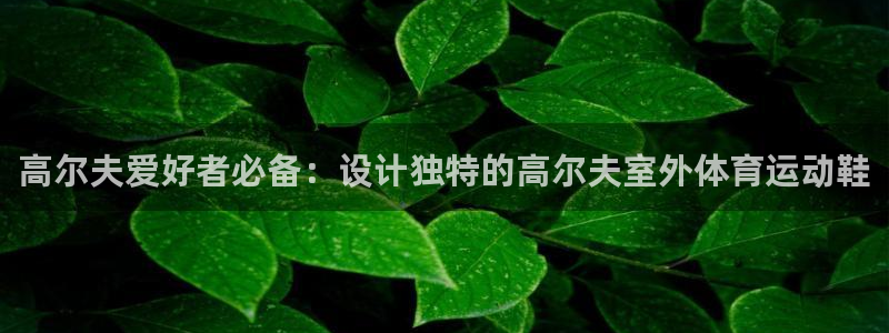 bbin视讯下