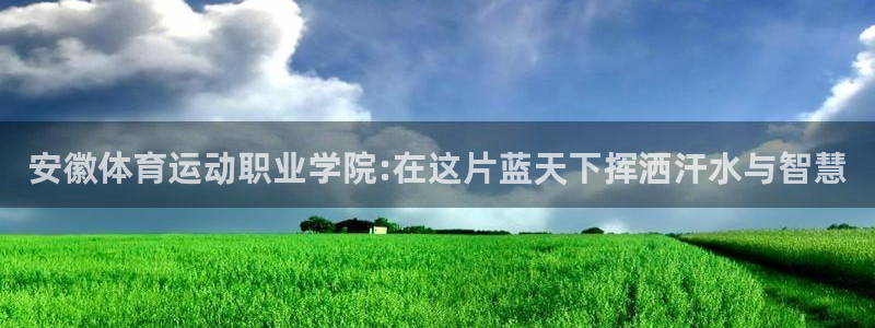 bbin视讯