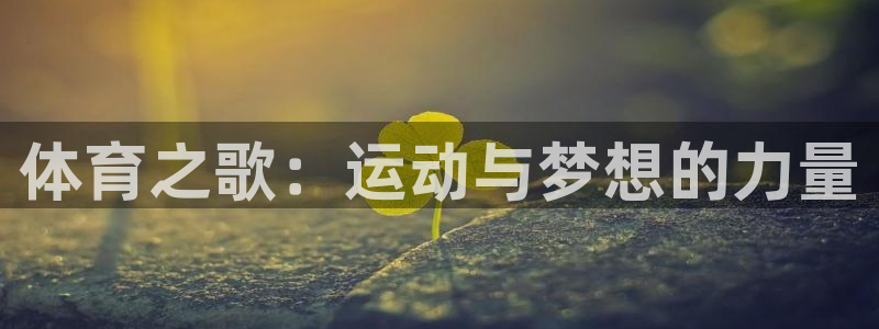 bbin视讯游戏官网