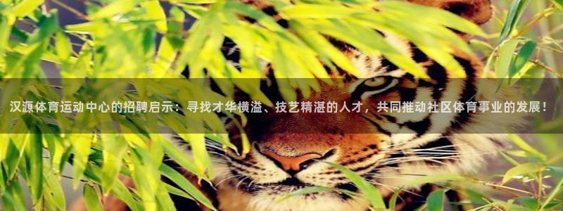 bbin视讯