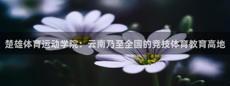 bbin视讯游戏平台：楚雄体育运动学院：云南乃至全国的竞技体育教育高地