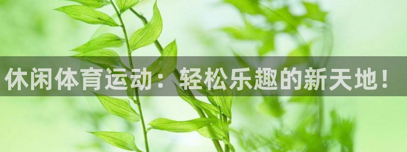 bbin视讯下