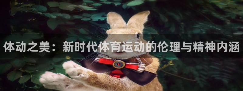 bbin视讯游戏平台