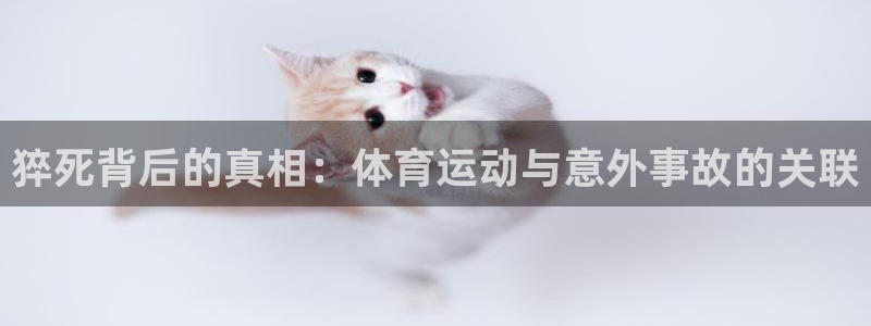 bbin视讯下