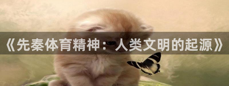 bbin视讯游戏平台：《先秦体育精神：人类文明的起源》