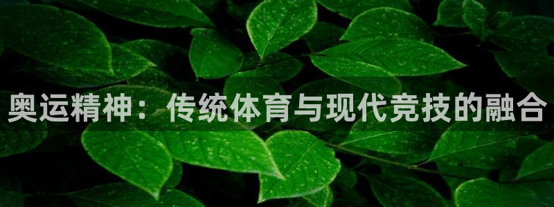 bbin视讯游戏官网：奥运精神：传统体育与现代竞技的融合